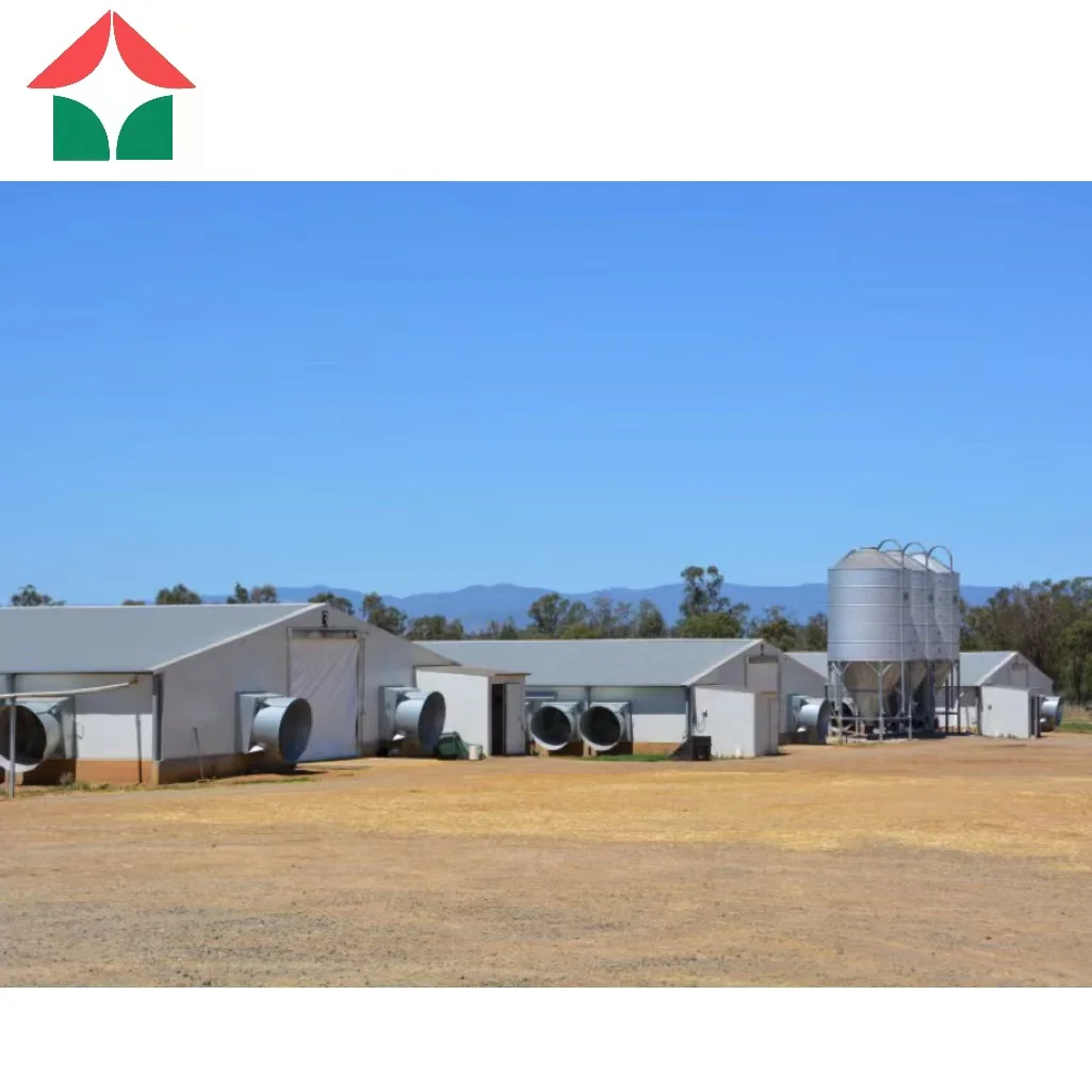 Прямая поставка с завода низкая цена легкая стальная конструкция производство сборной птицефермы сделано в