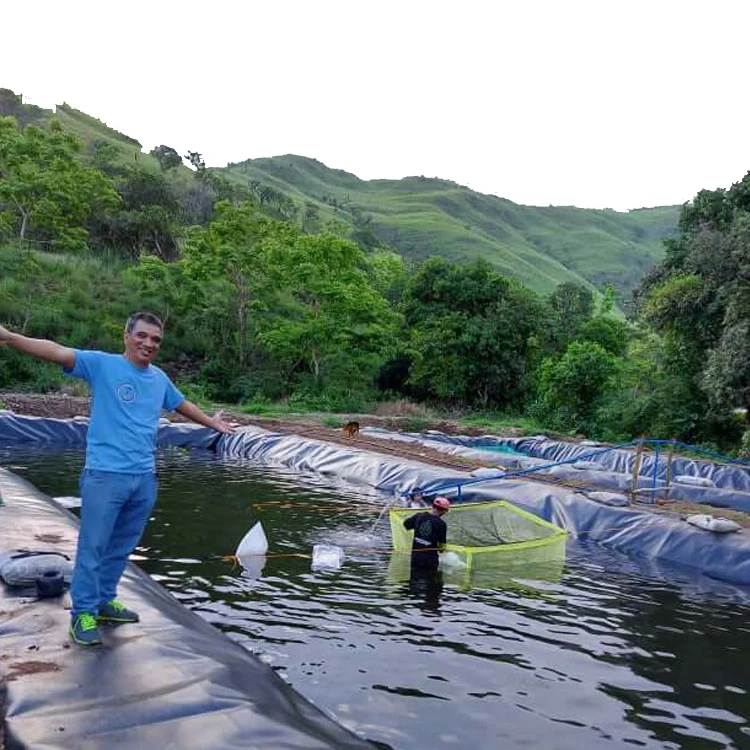 Заводская Водонепроницаемая геомембрана HDPE, подкладка для пруда для креветок, Китай геомембрана