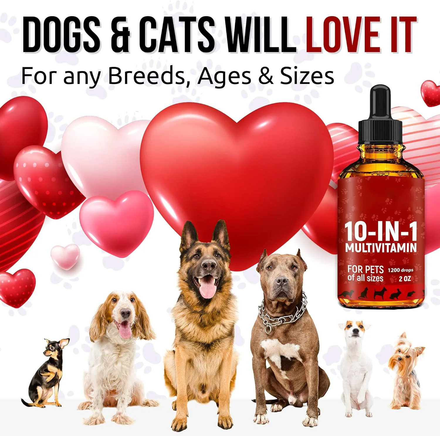 OEM  10 In 1 Cat & Dog Multivitamin Drops Liquid Cranberry Extract Pet Multivitamin Supplements Drops For Hip & Joint Health
