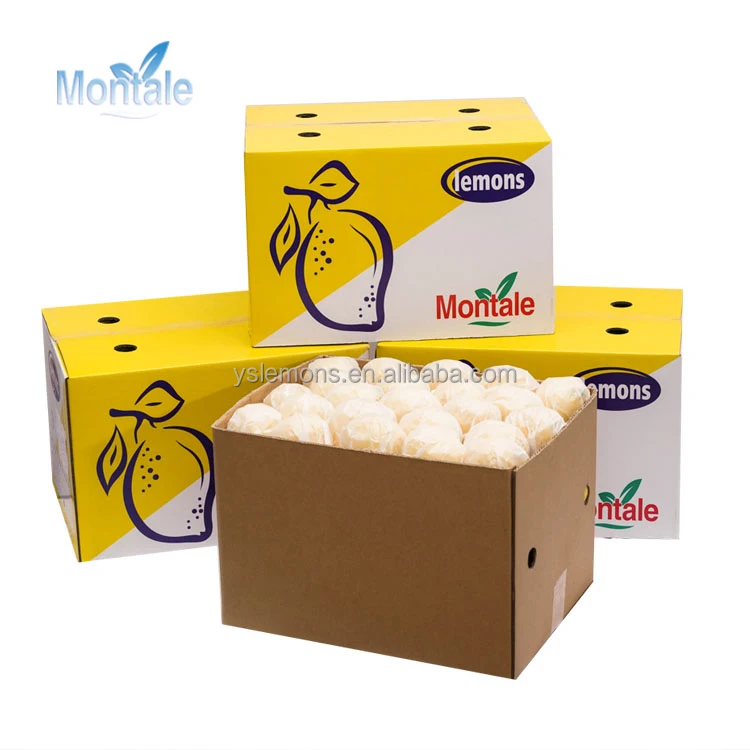  Свежий лимон высокого качества от Anyue Lemon