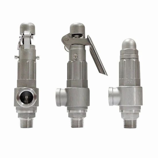 Covna Hot Sale Safety Relief Valves for lpg 1Inch Stainless Steel BSP Thread AC220V With Handle Safety valve