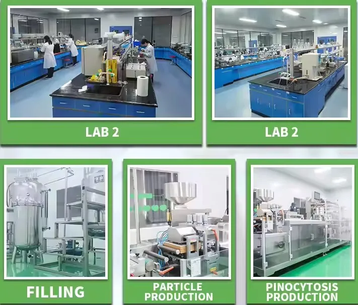 Private Label 500mg Choline Tartrate & 500mg Inositol Capsules 60 Vegan Tablets for Adults