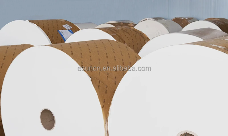 Wholesale Price PE/PLA Coated Paper Rolls for Making Paper Cups