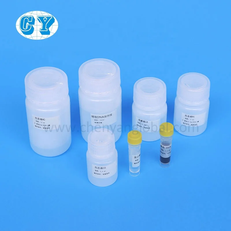magnetic bead  Nucleic acid extraction kits RNA Isolation DNA purification  lab reagent
