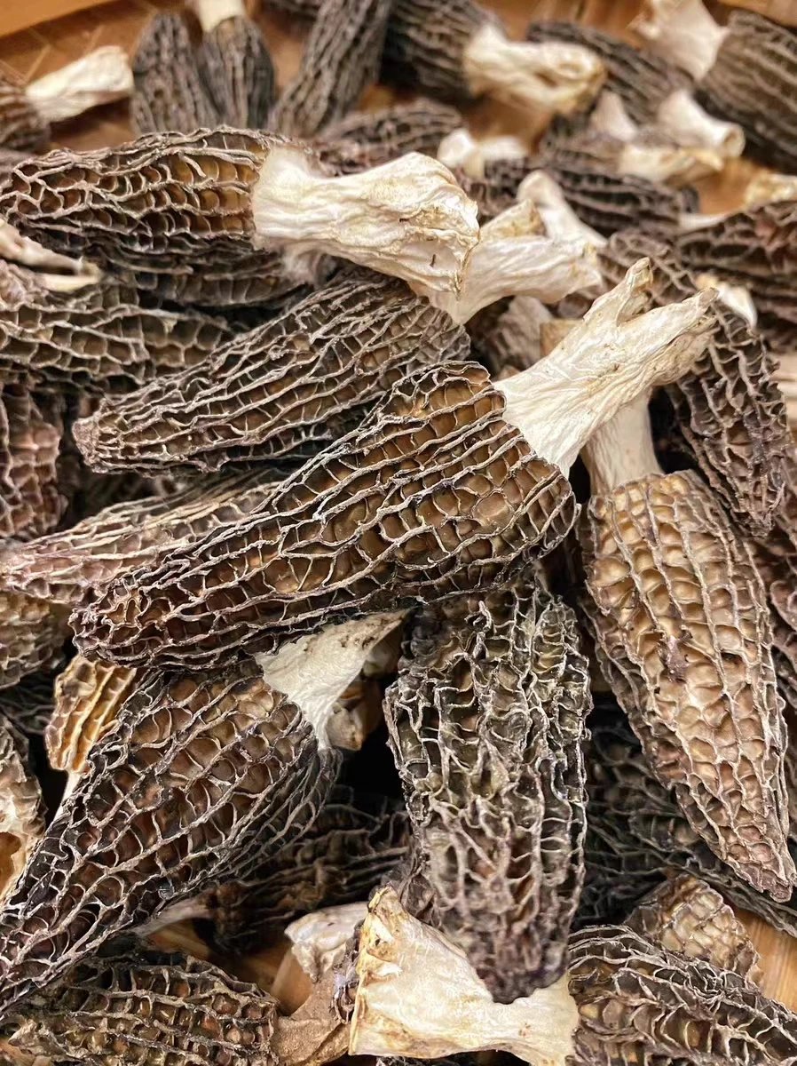 Detan Dry Morel Mushrooms with Vitamin-Rich Collagen Chinese Morel Mushroom