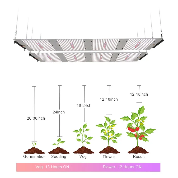 Meijiu X Light, Customized 600W Samsung Lm301B 3000K 4000K Pcb Led Grow Lights For Indoor Plants/