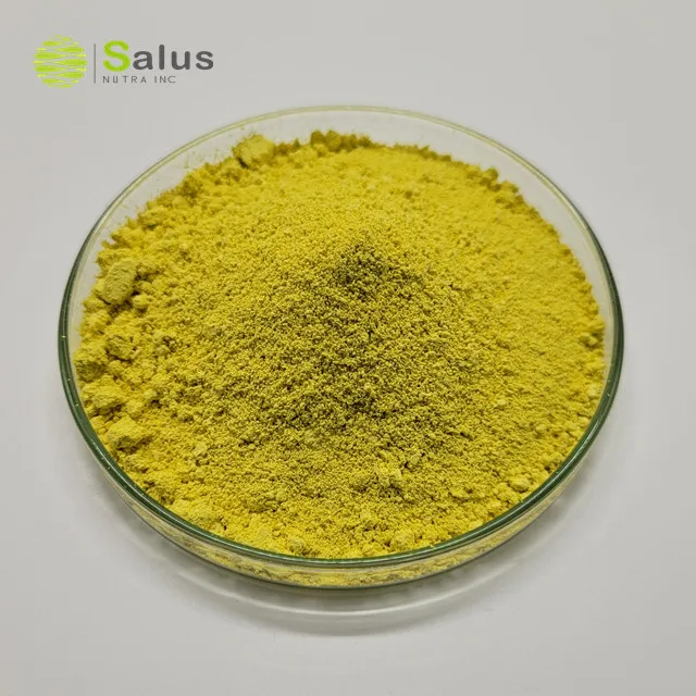 Best Price Pure Kaempferol 98%