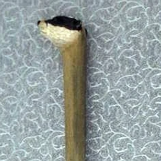 high quality wooden cane walking sticks for mountain climbing or for old people