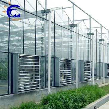 
Multi-span agricultural greenhouses type and pe + pc plastic film cover material greenhouse for agriculture production 