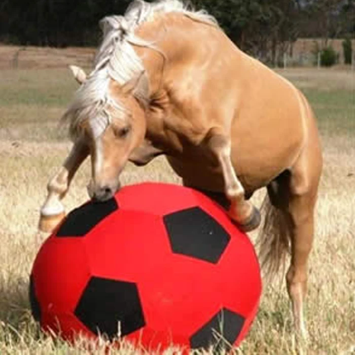 40-Inch Mega Ball Cover for Horses