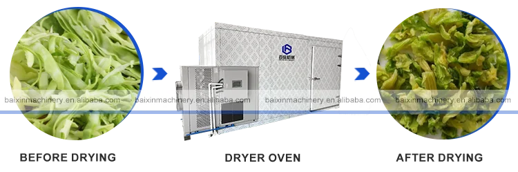 cabbage dryer1.png