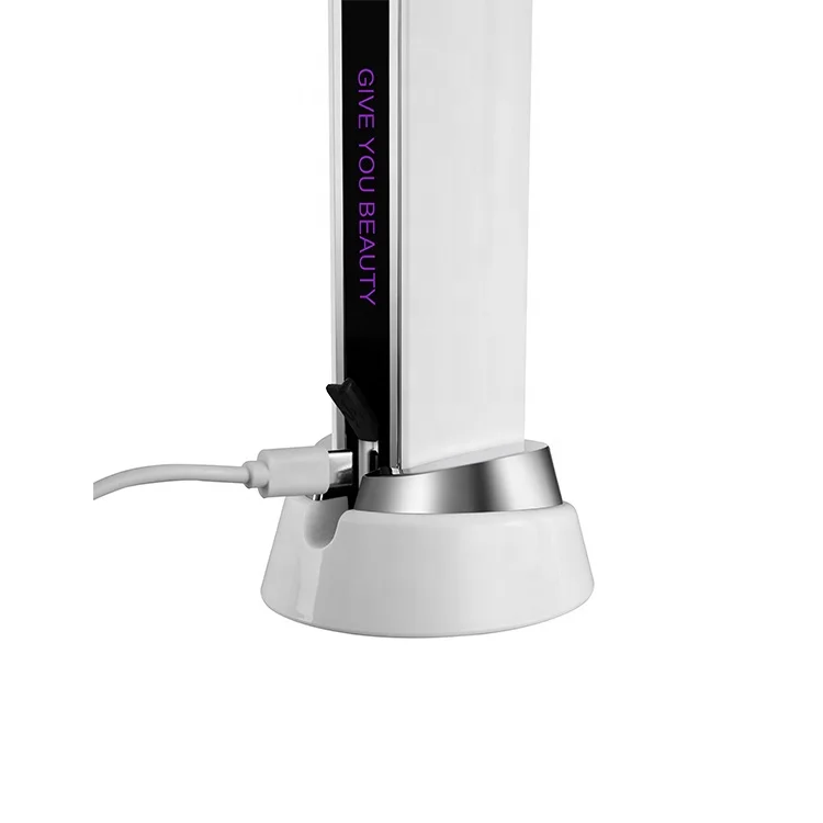 Handheld 360 Rotary Massage EMS LED Red Light Therapy Heating Facial Machine for Skin Nourish