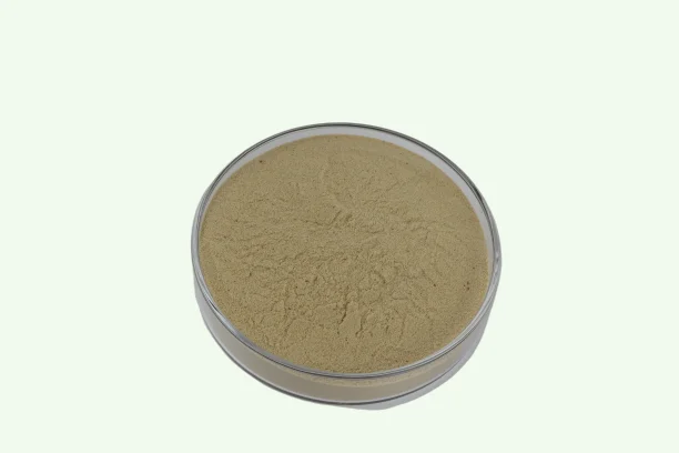 Highly-Efficient Gel Breaking Enzyme Beta Mannanase for Oil Recovery Application