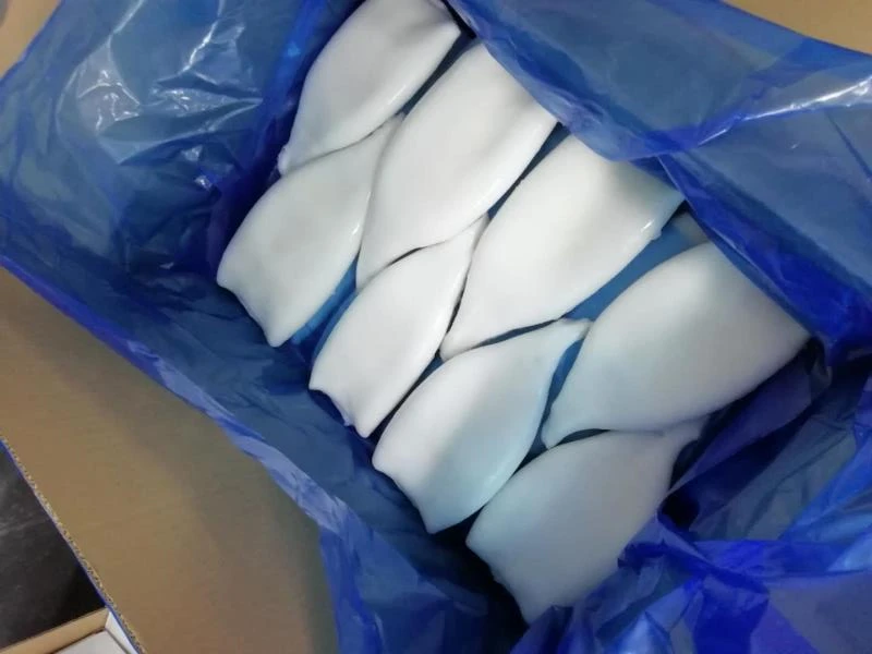Fresh Whole Cleaned Calamari u5 u10 First Ring Frozen Gigas Squid Tube
