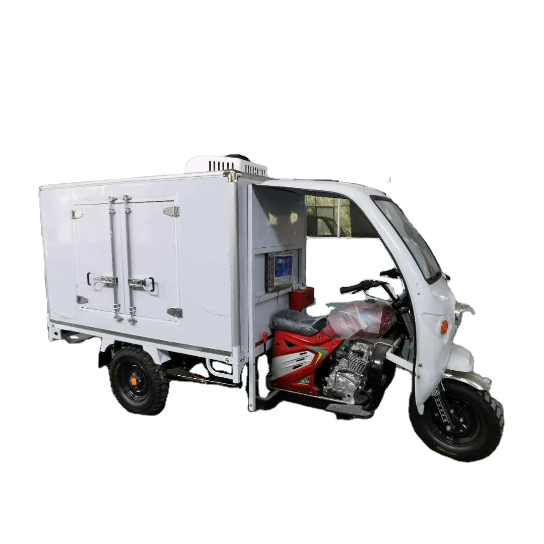 Commercial 3 Wheel Electric ice cream Bicycle Frozen Tricycle Reefer Tricycle 3 wheel truck for Adult