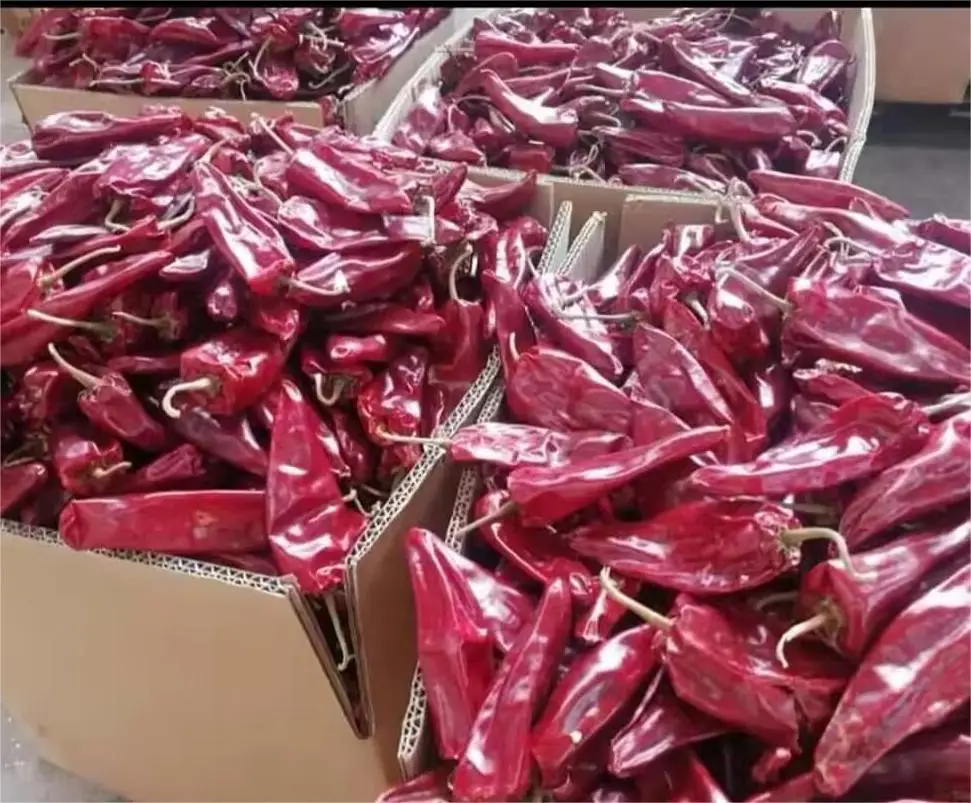 Dried Red Chili  Dry Hot Pepper  Chinese Dried Red Chilli