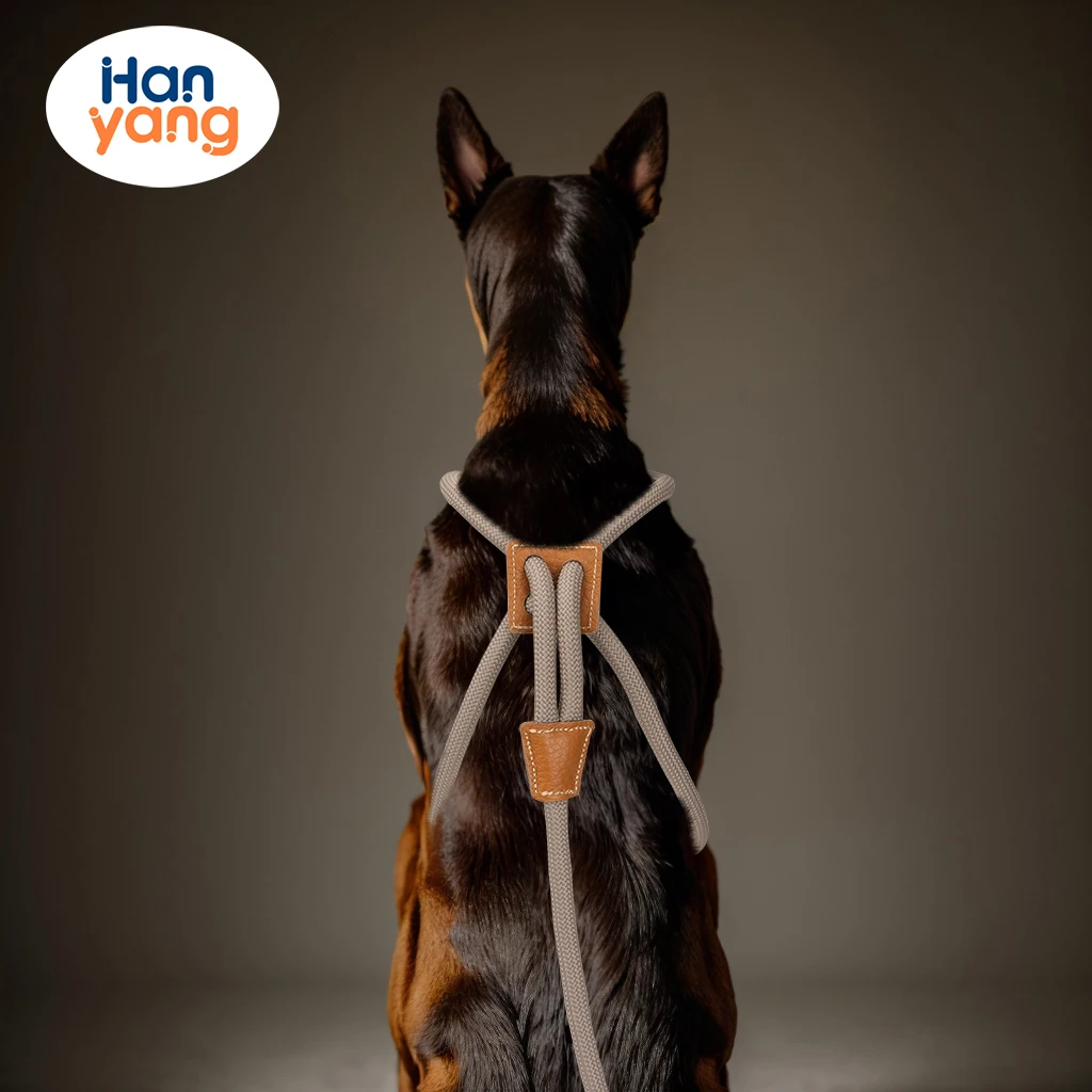 HanYang OEM Custom Dog Harness Puppy Step-in Leash Heavy Duty Adjustable Nylon Dog Collar & Leash in One for Medium Dogs