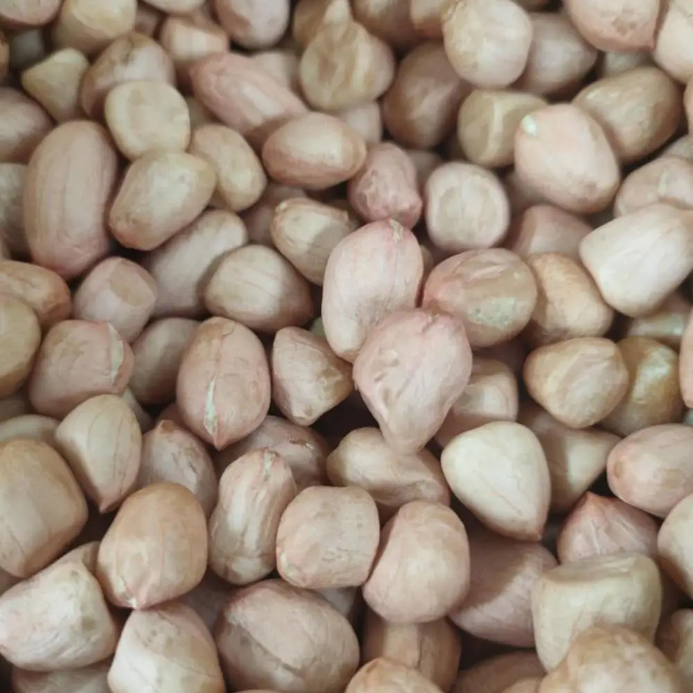 Арахис Shandong Seaflower 9/11 24/26 25/29 24/28