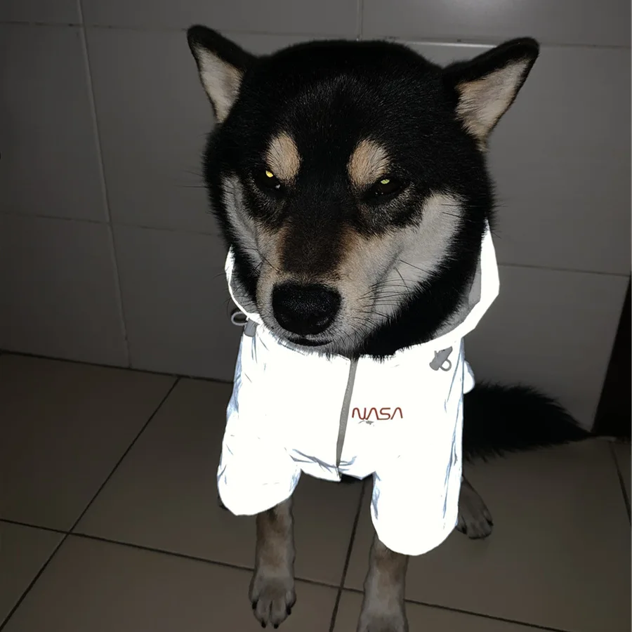 New Fashion Dog Clothes Waterproof Jacket Reflective Dog Coat Raincoat for Small Medium Large Dogs