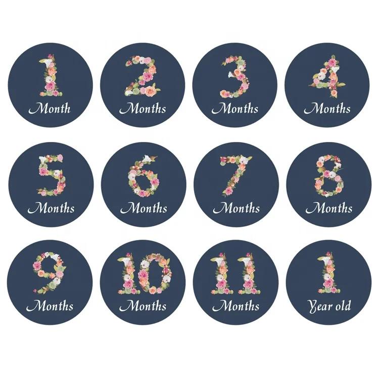 Wholesale Wish New born baby monthly stickers floral milestone stickers
