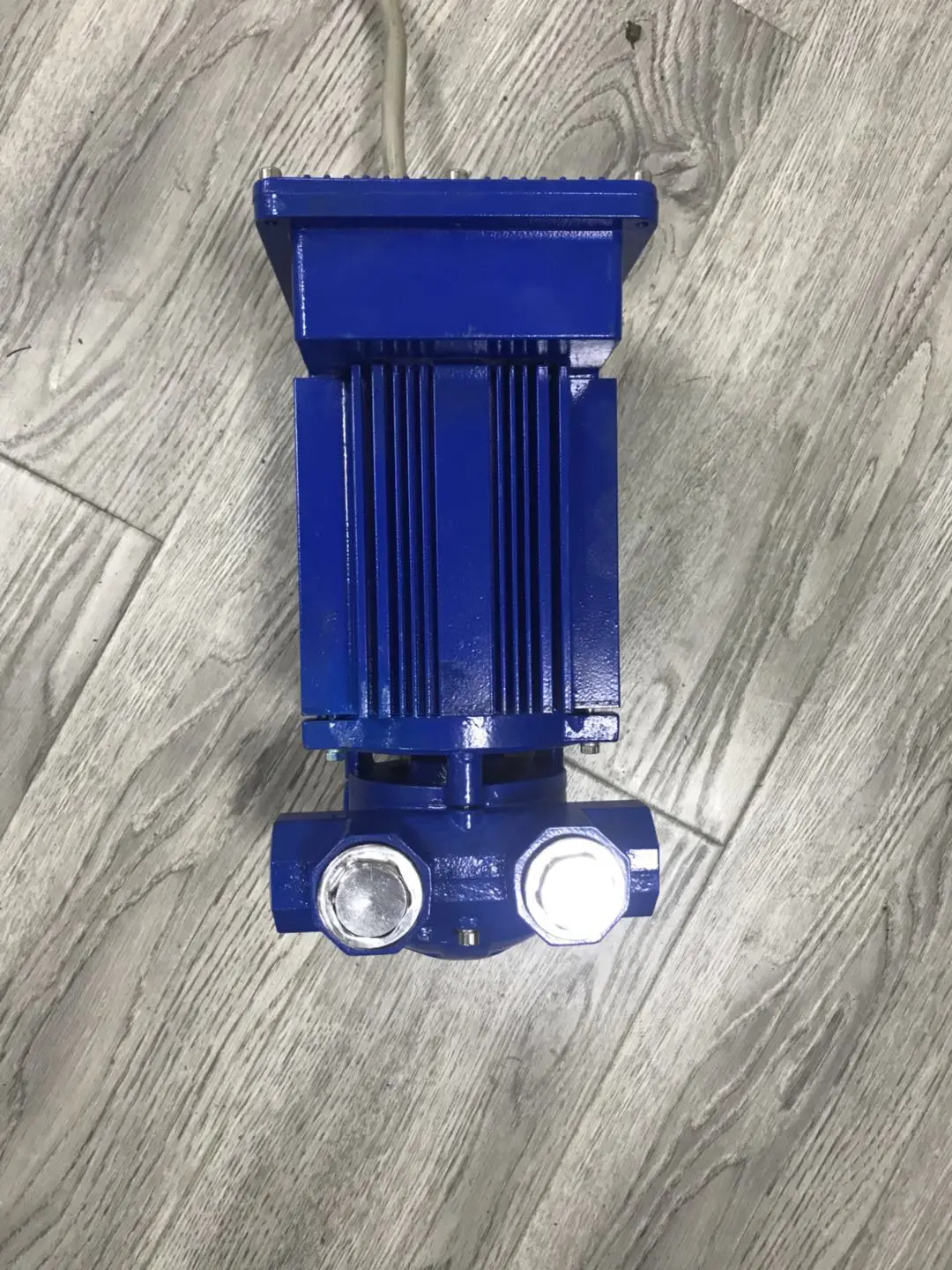 12V / 24V Fuel Transfer Pump/Explosion-proof Pump for Transferring Gasoline / Diesel