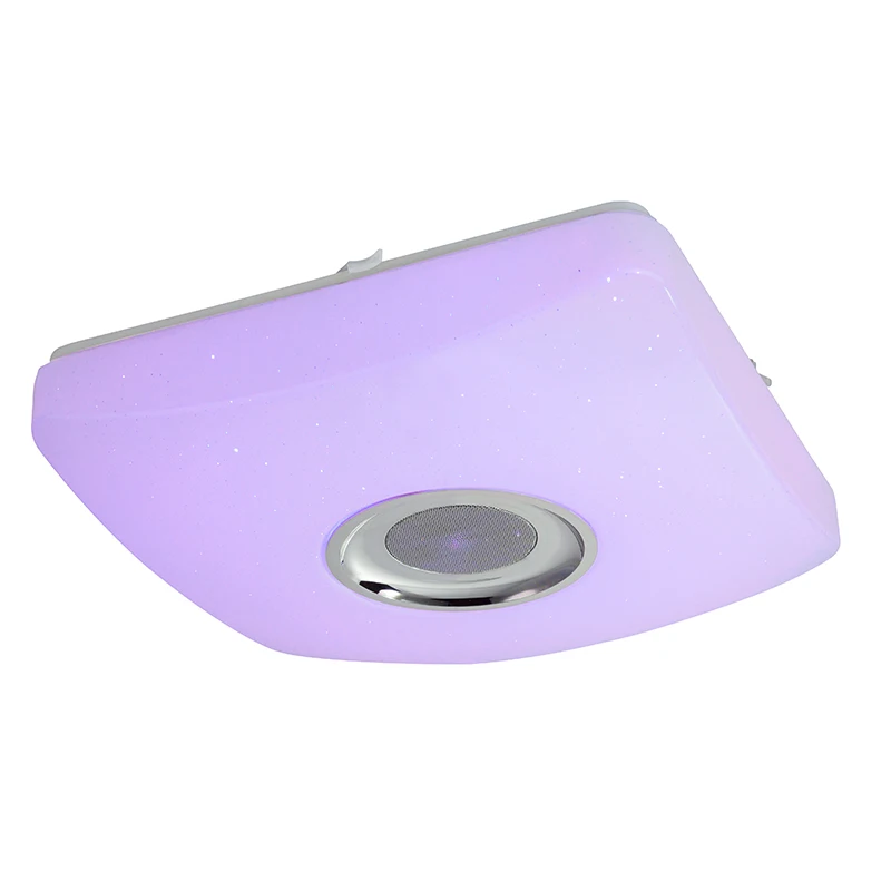 
Vintage Square Smart Square 2019 2.4G LED Plastic Ceiling Lamp 