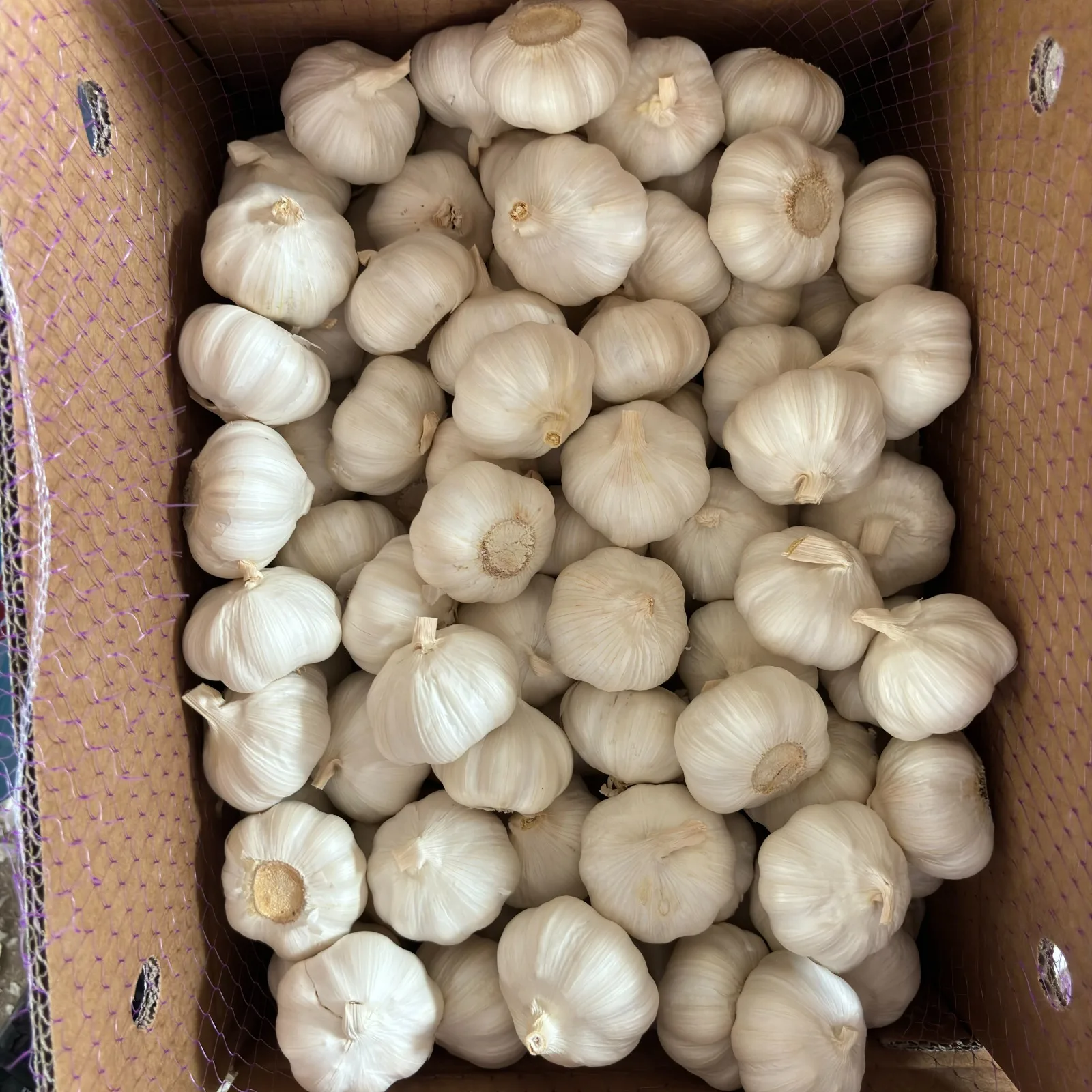 Wholesale Exclusive Import Cheap Price Sell Well New Type Guaranteed Quality Cloves Chapped Frozen Garlic Frozen food
