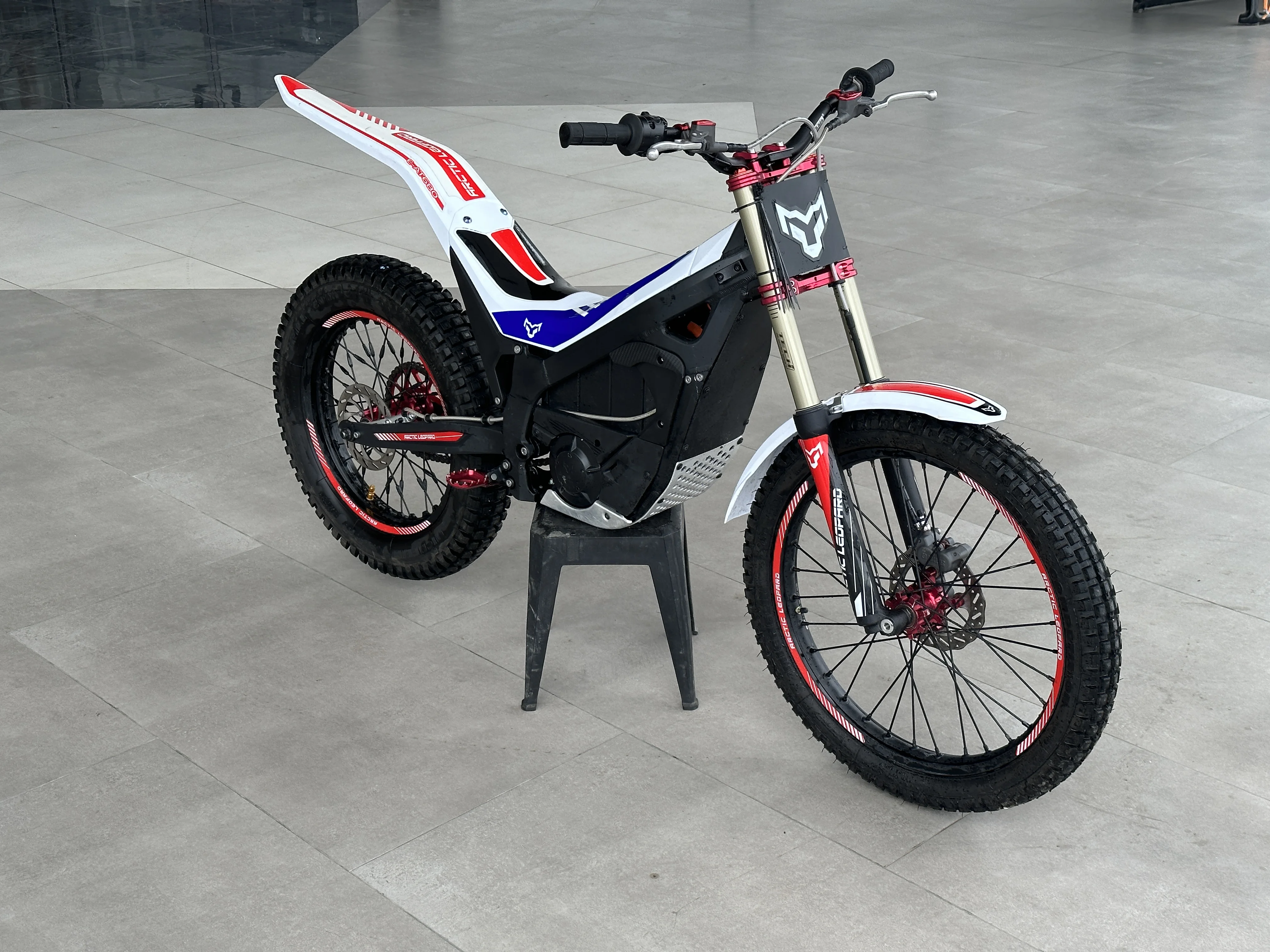 Hot Sale Racing Electric Bike Strong Power Arctic Leopard Electric Motorcycle SNOW LEOPARD E T 600