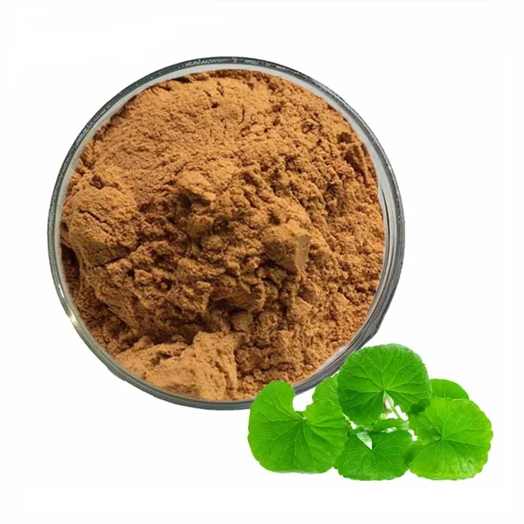 100% Natural Plant Extract Gotu Kola Extract Centella Asiatica Extract Powder