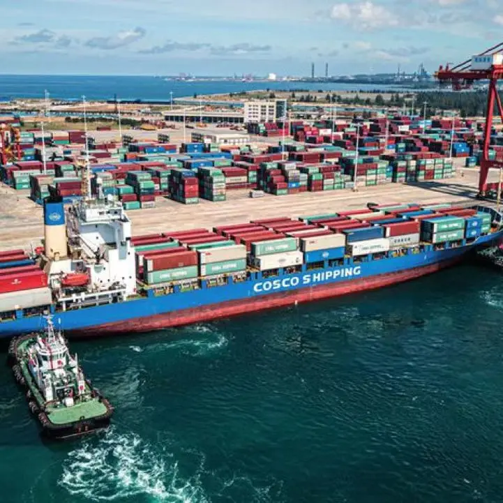 Reliable and Professional International Cargo Transportation Shipping container from China to Montpellier France by sea