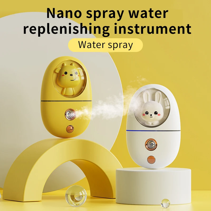 2021 Private Label Vaporizador Steamer Facial Nano Ionic Handheld Beauty Face Mist Spray