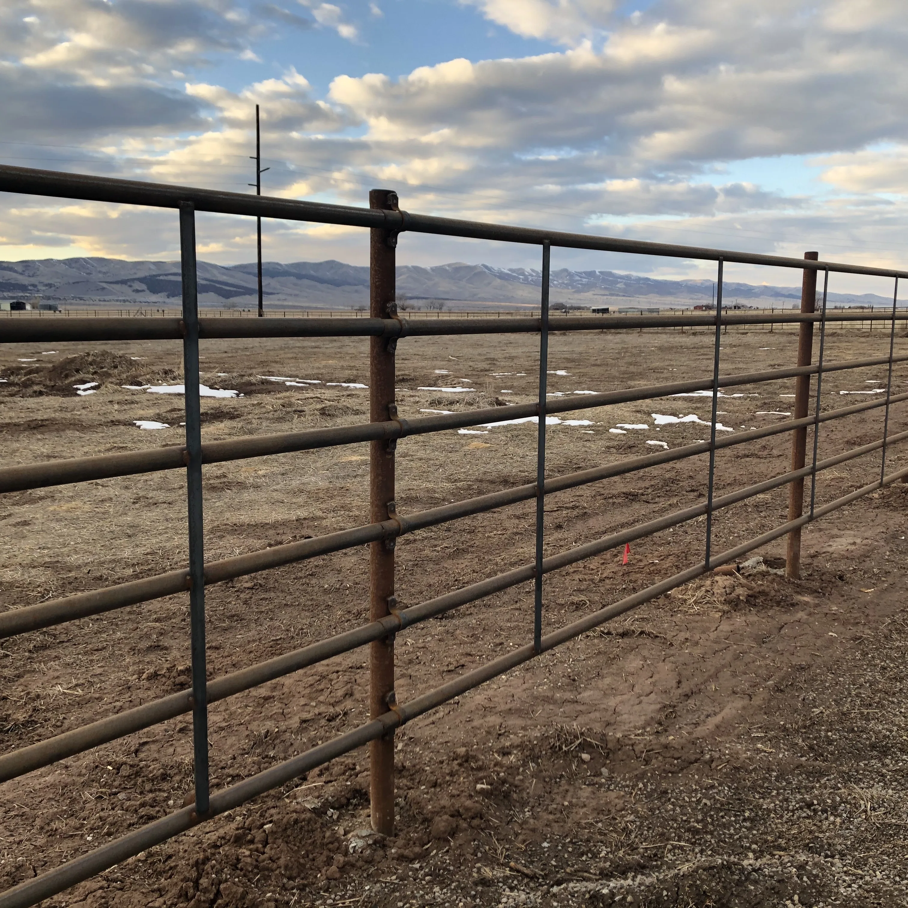 6 Bar 5ft High Horse Fence Corral Panels USA Type Low Maintenance Square Tube Rail Driveway Gates 8ft Width 10ft Length Hot Dip