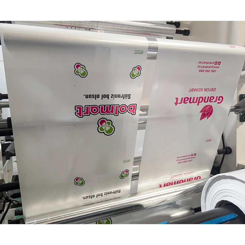 Full Automatic 6 Color Polyethylene Plastic Film Flexo Printing Machine