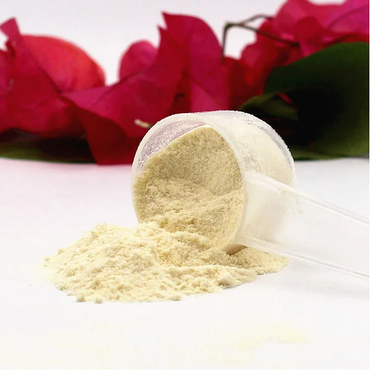 Oem Standard Healthcare High Quality Whey Protein Powder Supplements In Sport Supplements