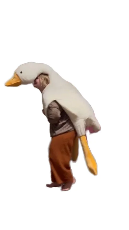 Hot Sale big size Cute Super Soft Stuffed Animal Goose Duck Large Plush Pillow Toys 50cm 90cm 190cm