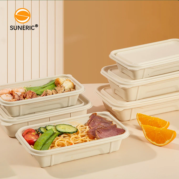 Modern Biodegradable PLA plastic Bento Lunch Box Disposable Food Containers for Meal Prep and Restaurant Take Away Packaging