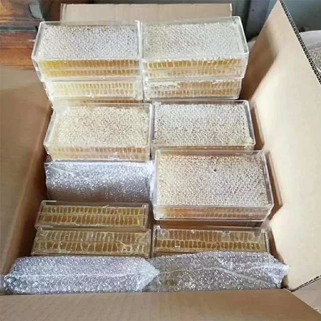 Beekeeping Tool 500g Plastic Honey Comb Box with Wax Foundation Sheet Cassette Honeycomb Box