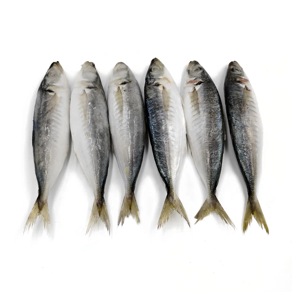 Best frozen whole round scad wholesale prices round scad fish suppliers and manufacturers