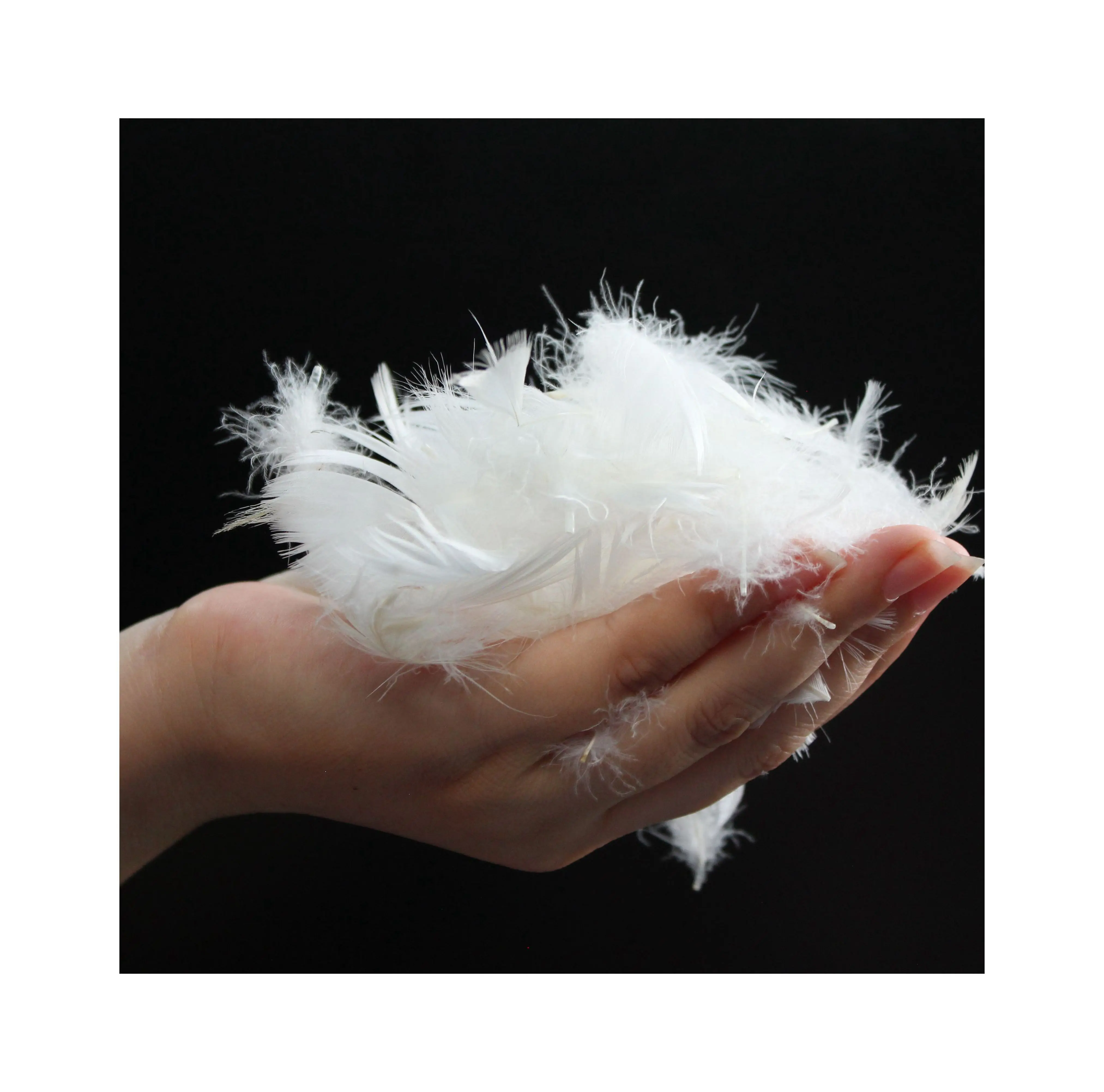 DIGNITY BRAND Wholesale Natural Soft 4-6cm High Quality Sofa Washed White Goose Feather  Natural Dry Feathers