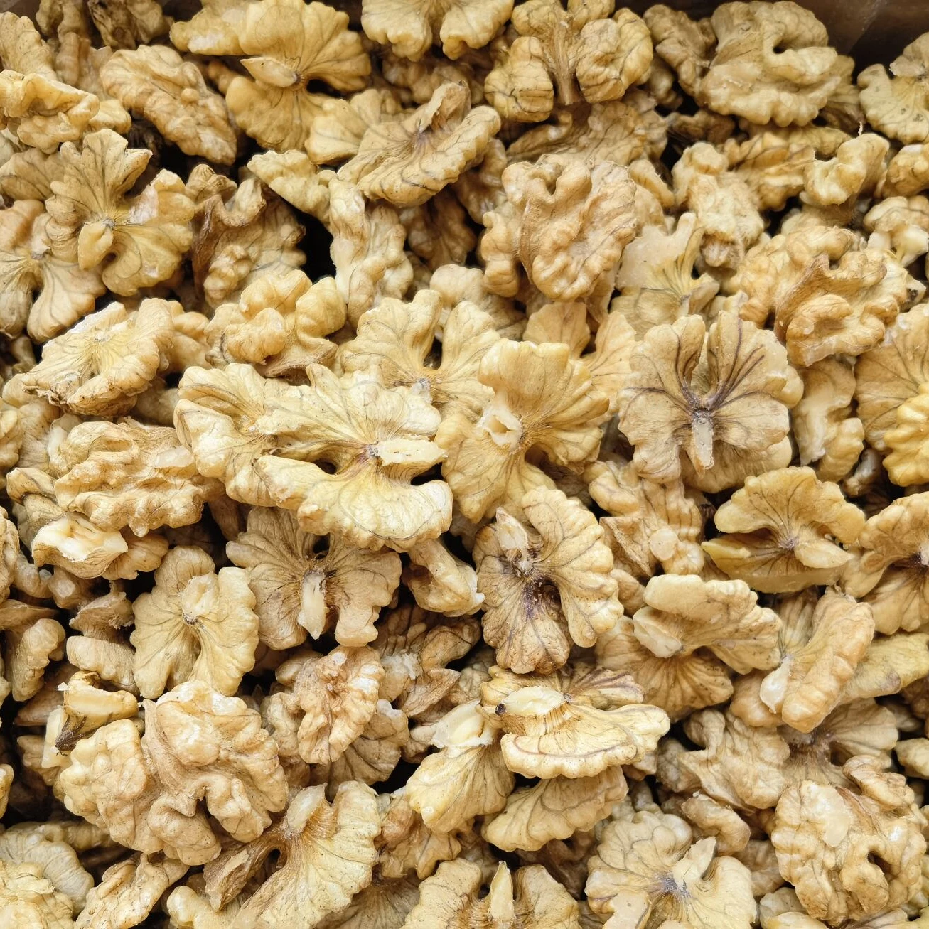 China north shaanxi nueces nutraj wal nuts wallnut walnuts kilo price