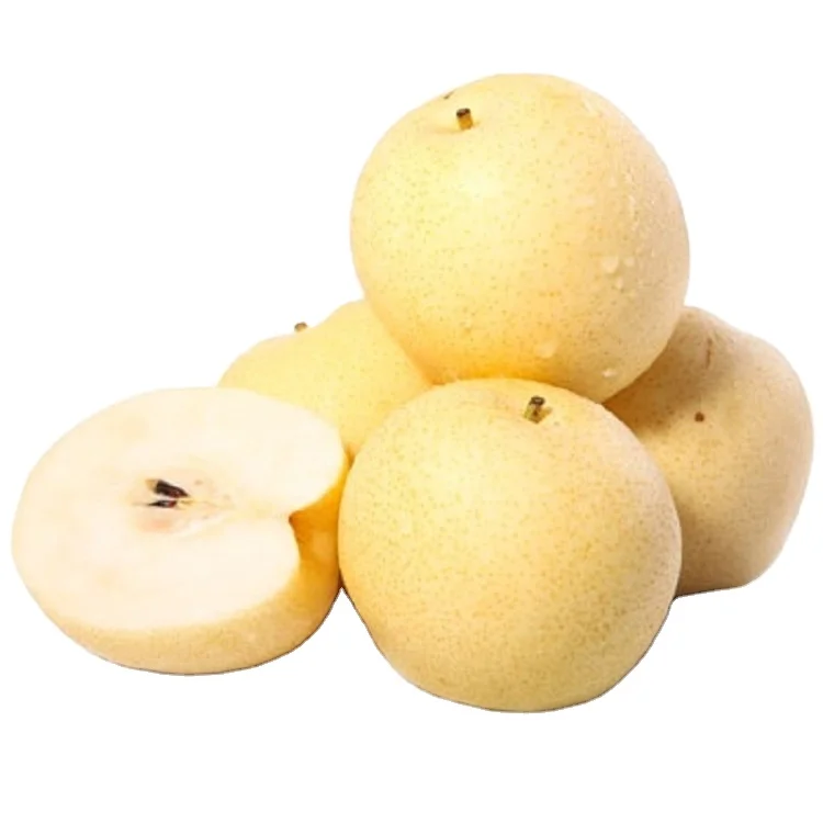 
China fresh pear white pear with good quality 