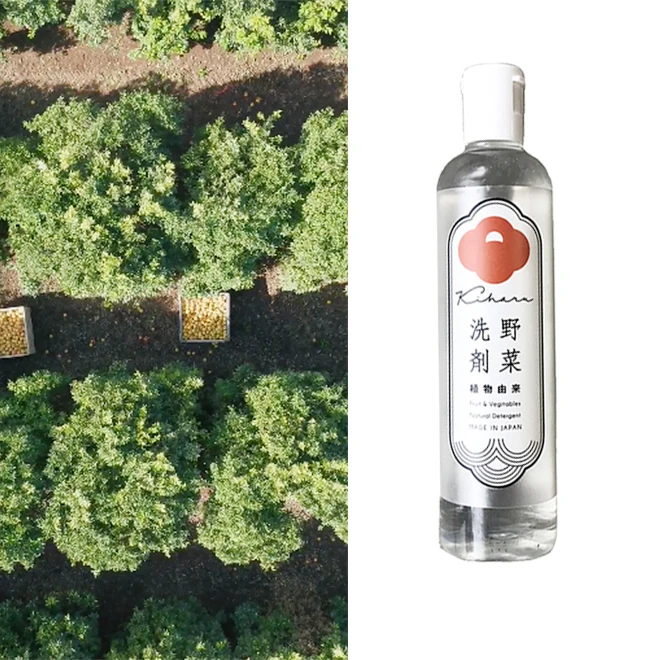 Firm fruit deep juice blood flow promoting liquid washing detergent