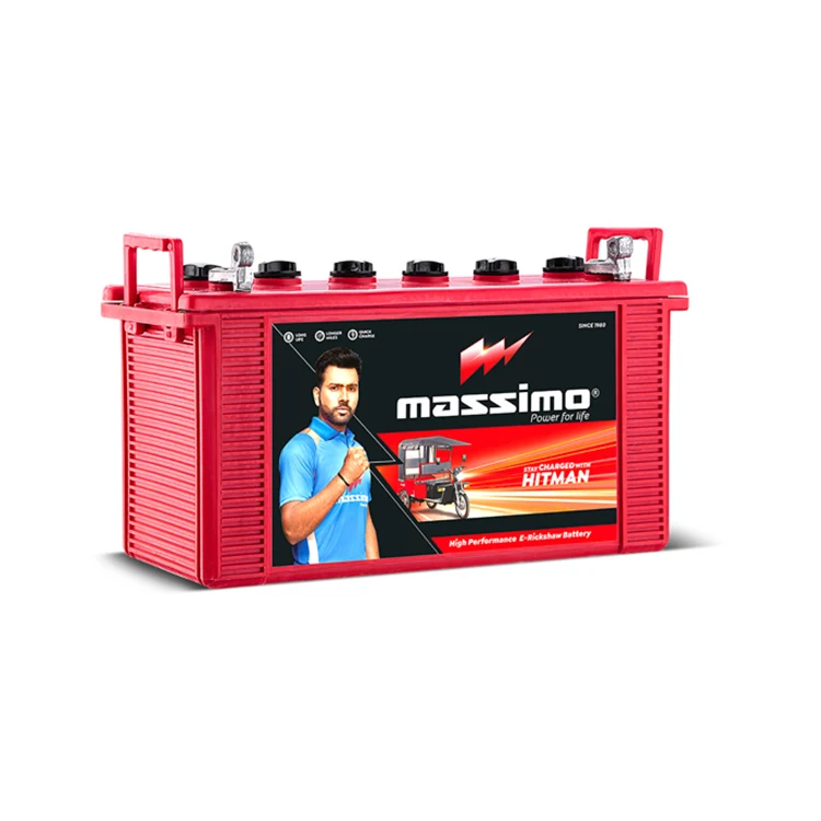 Specially Designed Electric Rickshaw Battery