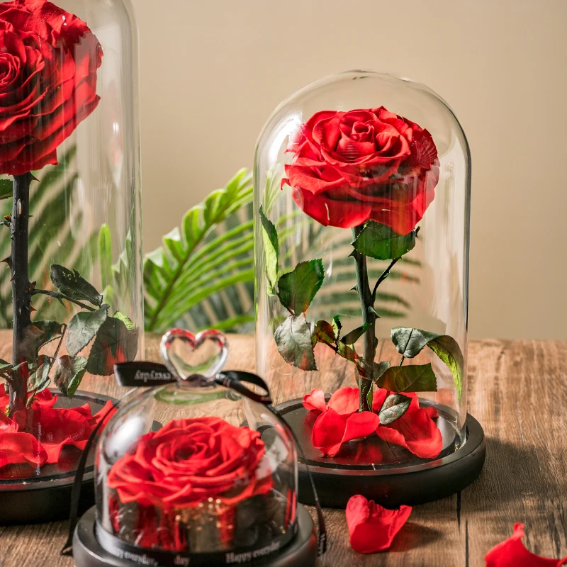 wholesale real eternal rose in Led Light Glass Dome high quality preserved Rose Perfect Birthday Valentines Day Gifts