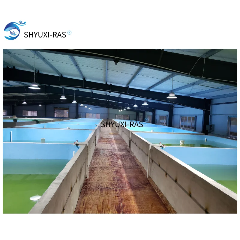 Оборудование для рыбоводства для помещений ras, для продажи, большая промышленная рециркуляция рыбы, Ферма для аквакультуры, система ras