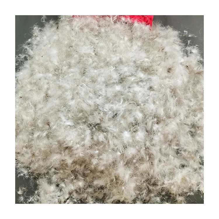 Benruson washed grey duck down factory directly sales 800 fill power grey white duck down