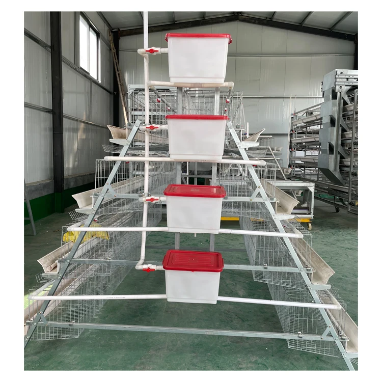 pvc feed trough A type business  poultry equipment  Hot-dip galvanized wire  manual cage and Layer Cage for sell in chicken farm