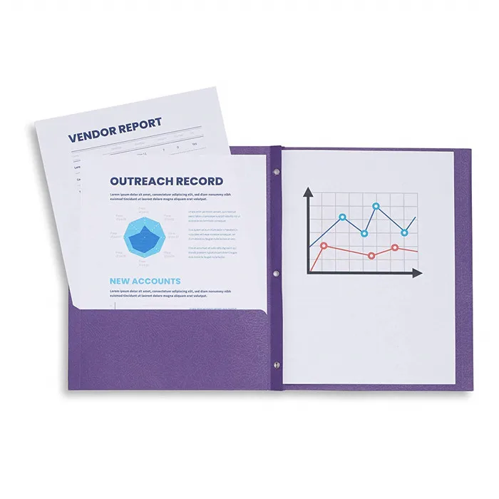 Durable PP Plastic Folder A4 Size File Binder for Business and Office Filing Products