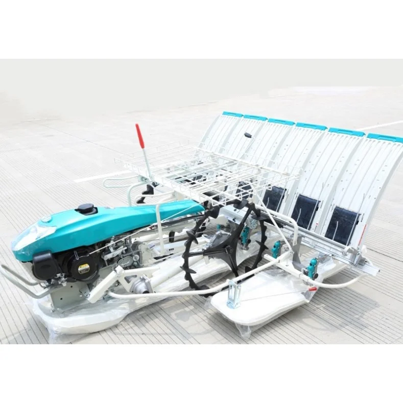 6 Rows Handpush Rice Planter Walk Behind Rice Planting Machine Walking Paddy Transplanter