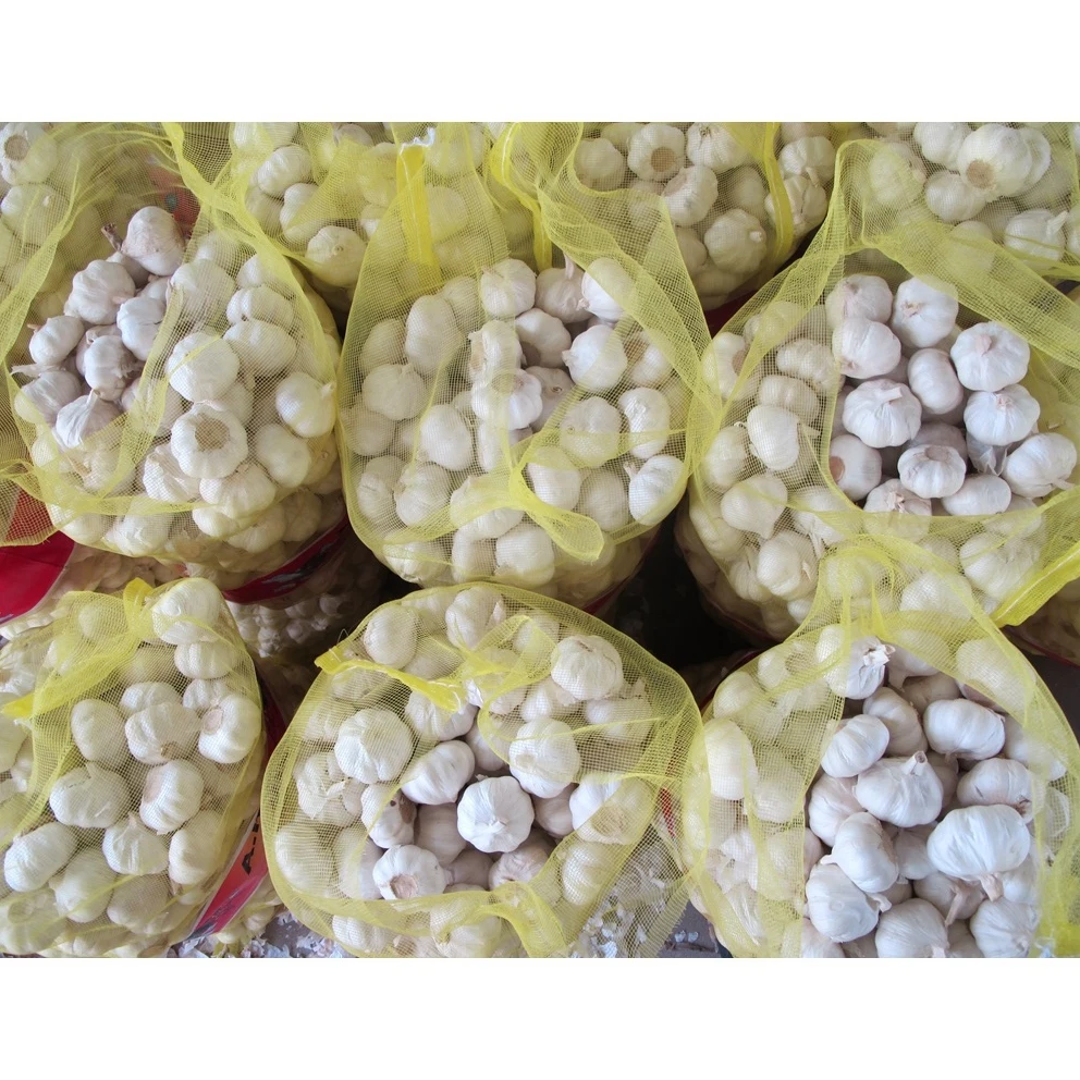 Fresh garlic Chinese new crop 2021 high quality wholesale garlic normal white alho fresco ajo from garlic exporters China